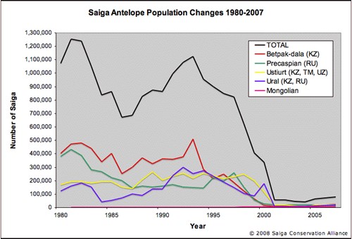 saiga population graph