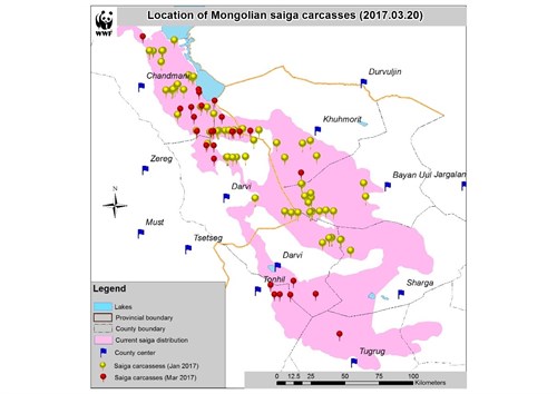 Mongolian Situation Analysis1