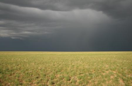 Landscape of the Steppes with Dramatic Sky 2