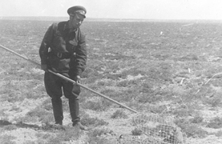 Historic Catching Saiga Calf Photograph