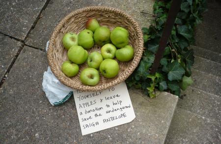 Apples For Donations