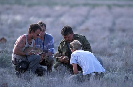 Gathering Data on Saiga Calves