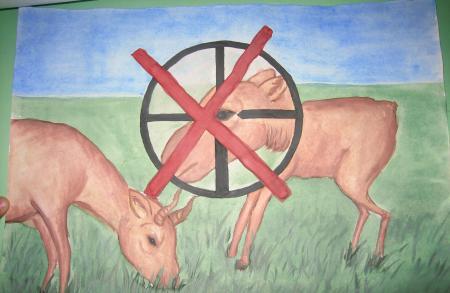 Saiga Drawing