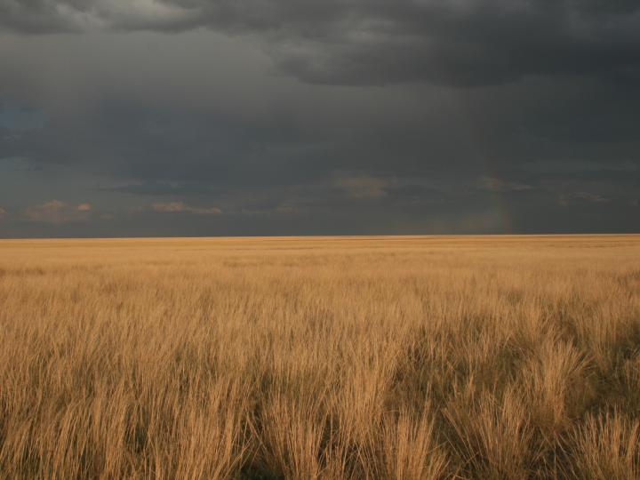 Landscape of the Steppes with Dramatic Sky