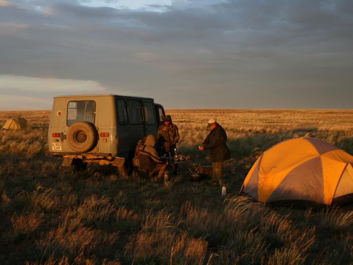 Camping on the Steppes