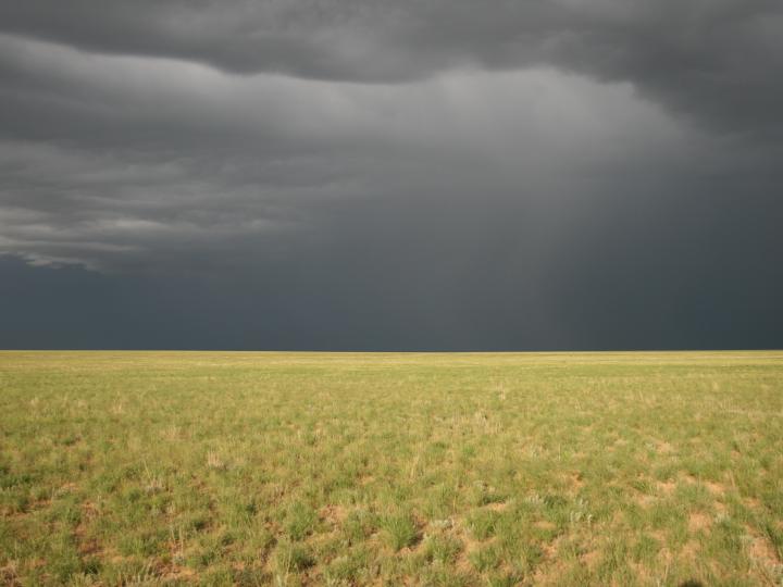 Landscape of the Steppes with Dramatic Sky 2
