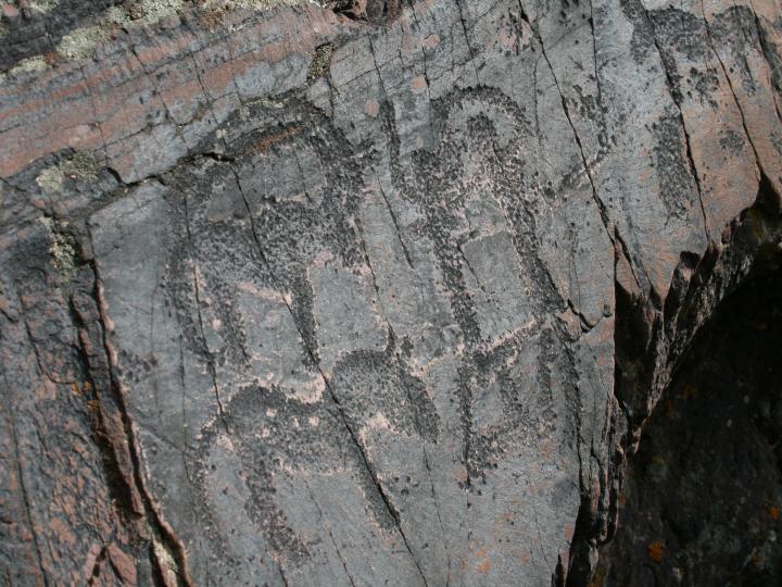 Rock Painting of Saiga