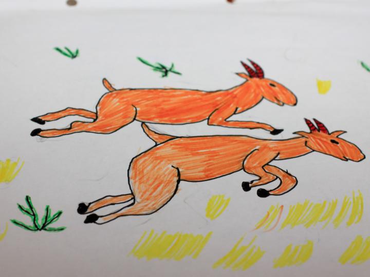 Child's Drawing of a Saiga