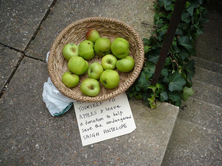 Apples For Donations