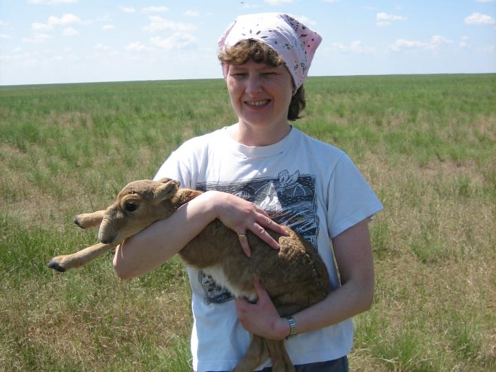 EJ Holding a Saiga Calf