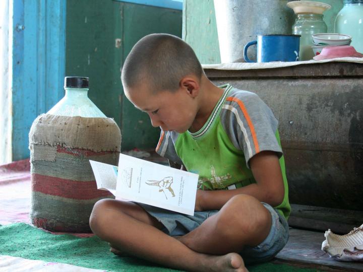 Reading a Saiga Leaflet