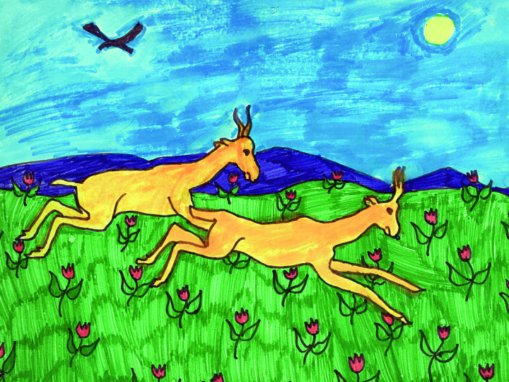 Saiga Steppe Drawing