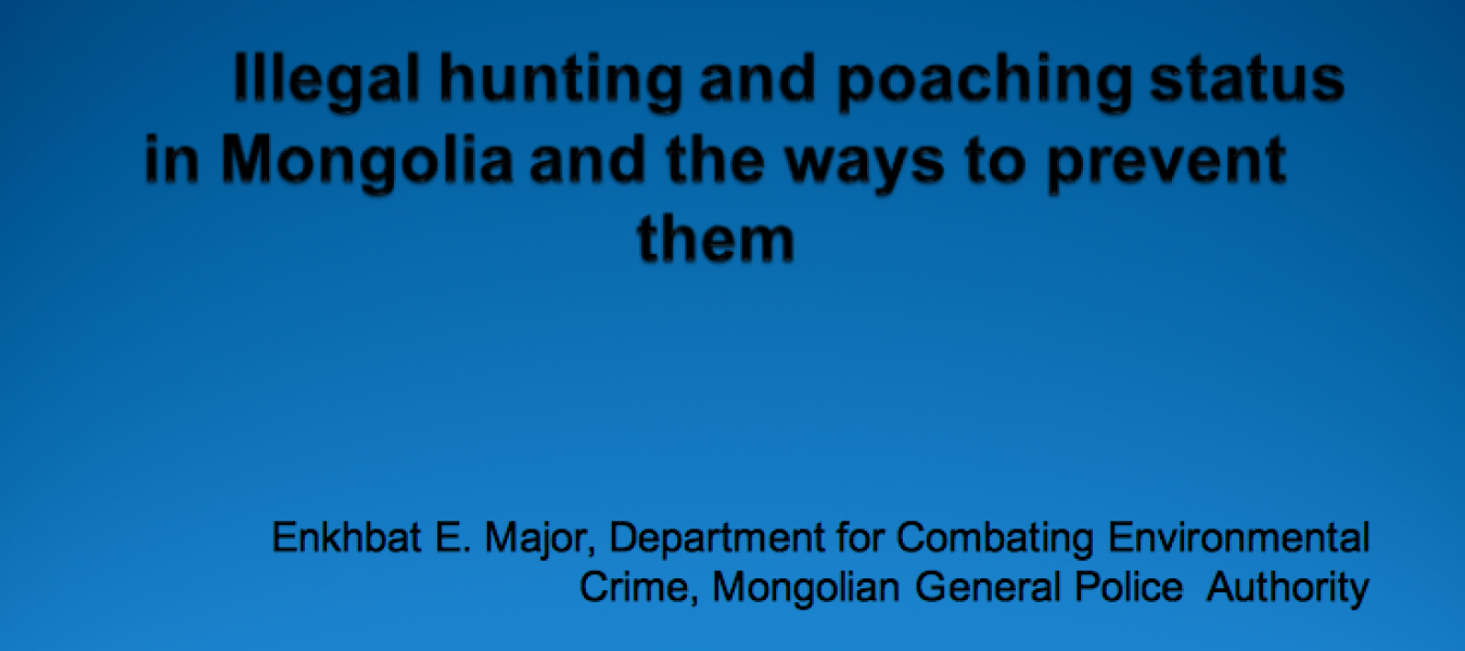 Use of Informant Networks to Improve the Detection of Wildlife Crime