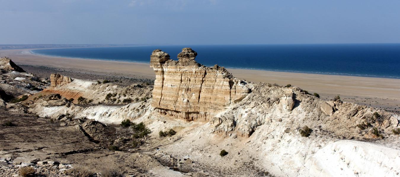 The "Saigachy" reserve in Uzbekistan has been reorganized   