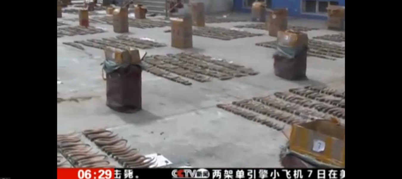 A large consignment of saiga horns is confiscated in China