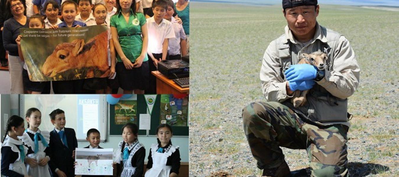 The Saiga Conservation Alliance 2016 Young Conservation Leaders award  